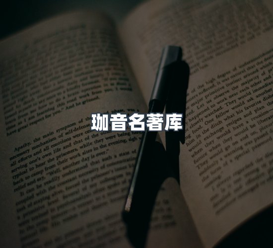 关于珈音名著库